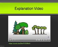 Fecal Transplants-Current Trends in Medicine PowerPoint Presentation