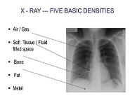 Radiology Introduction PowerPoint Presentation