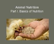 Animal Nutrition PowerPoint Presentation