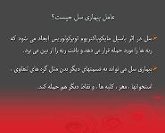 What Do You Know About Tuberculosis PowerPoint Presentation Notes