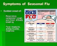 Pandemic Flu and You PowerPoint Presentation