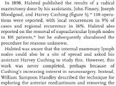 Protozoal Disease-William Stewart Halsted