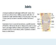 All about Arthritis PowerPoint Presentation