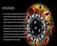 HIV-AIDS Information PowerPoint Presentation Notes