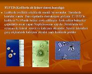 Urinary System PowerPoint Presentation Notes
