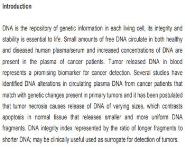 DNA INTEGRITY USES AND CLINICAL UTILITY IN CLINICAL MEDICINE Medical Notes