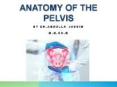 Anatomy of the Pelvis
