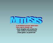 Mitosis PowerPoint Presentation Notes