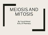 Meiosis and Mitosis
