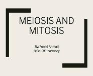 Meiosis and Mitosis PowerPoint Presentation Notes