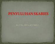 Whatever PowerPoint Presentation Notes