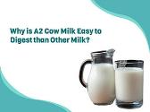 Why is A2 Cow Milk Easy to Digest than Other Milk
