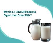 Why is A2 Cow Milk Easy to Digest than Other Milk PowerPoint Presentation