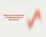 What are the benefits of using Biopesticides in Agriculture PowerPoint Presentation