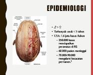 Head and Spinal Cord Injuries in Children PowerPoint Presentation