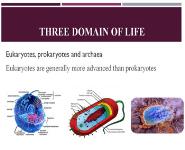 About Molecular Biology PowerPoint Presentation