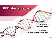 PCR Test