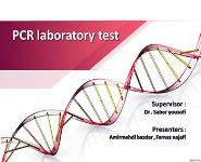 PCR Test PowerPoint Presentation