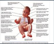 Abnormal Rhythm in Children PowerPoint Presentation