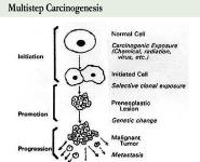 What is Cancer Medical Notes