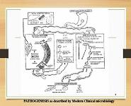 Extra Intestinal Amoebaisis PowerPoint Presentation