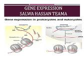 GENE EXPRESSION IN PROKARYOTIC AND EUKARYOTIC