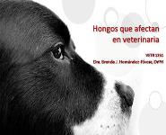 Fungi that Affect in Veterinary Medicine PowerPoint Presentation