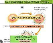 Role of oxidative stress on male infertility PowerPoint Presentation