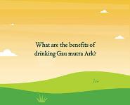What are the benefits of drinking Gir cow Ark PowerPoint Presentation