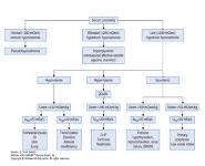 Electrolyte Disorders PowerPoint Presentation