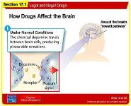 Legal and Illegal Drugs PowerPoint Presentation
