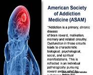 Understanding Substance Use Disorders, Treatment, and Recovery PowerPoint Presentation Notes