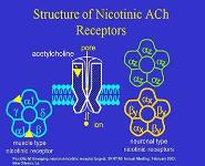 Nicotine Addiction PowerPoint Presentation