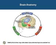 Addiction is a Chronic Illness PowerPoint Presentation