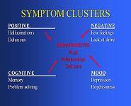 Psychoeducation Workshop for Families PowerPoint Presentation Notes