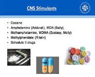 Forensic Toxicology PowerPoint Presentation