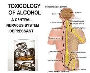 Forensic Toxicology-Ethyl Alcohol PowerPoint Presentation