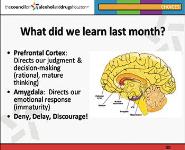 Myths and Trends of Alcohol Drugs and Teenage Behavior PowerPoint Presentation