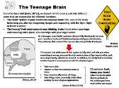 Drugs and How they Affect the Teenage Brain