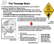 Drugs and How they Affect the Teenage Brain PowerPoint Presentation
