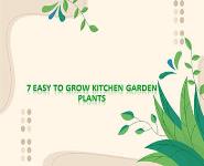 7 Easy to Grow Kitchen Garden Plants PowerPoint Presentation