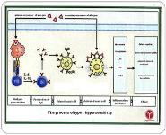 Allergens PowerPoint Presentation