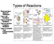 Hypersensitivity PowerPoint Presentation