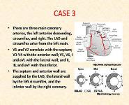 Cardiac Physiology PowerPoint Presentation
