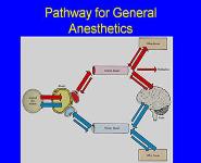 General Anesthetics PowerPoint Presentation