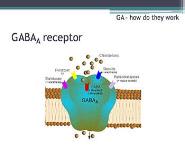 Pharmacology of Anesthetics PowerPoint Presentation
