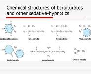 Sedative-Hypnotic Drugs PowerPoint Presentation Notes