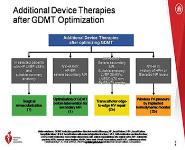 Guideline for Heart Failure PowerPoint Presentation