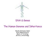 DNA and Genes - The Human Genome and Inheritance Medical Notes
