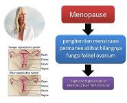 Orthopaedic System PowerPoint Presentation